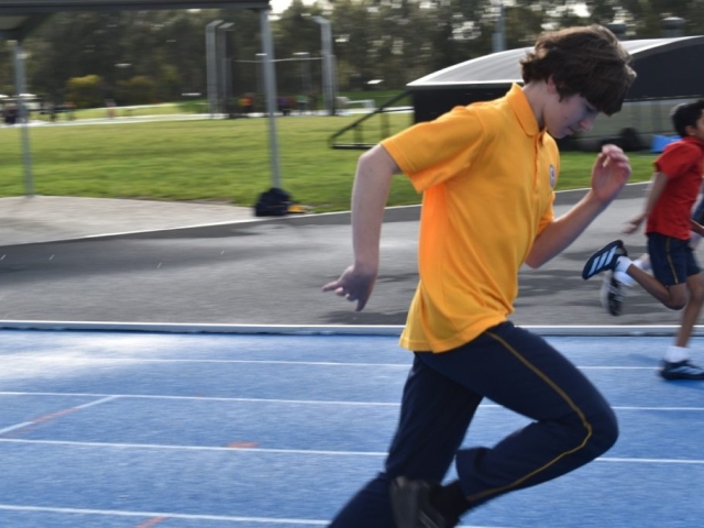DSC_0069 Large