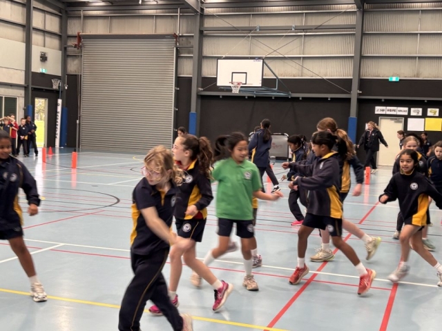 IMG_3577 Large
